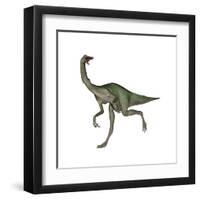 Gallimimus Dinosaur-Stocktrek Images-Framed Art Print