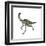 Gallimimus Dinosaur-Stocktrek Images-Framed Art Print