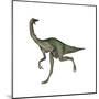 Gallimimus Dinosaur-Stocktrek Images-Mounted Art Print