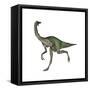 Gallimimus Dinosaur-Stocktrek Images-Framed Stretched Canvas