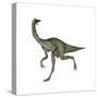Gallimimus Dinosaur-Stocktrek Images-Stretched Canvas