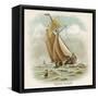 Galliot Used by Dutch Fishermen, Carrying a Full Spread of Sail-null-Framed Stretched Canvas