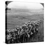 Gallipoli Campaign, World War I, 1915-1916-null-Stretched Canvas