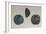 Gallo-Roman Coins with Female Profiles, Roman Coins-null-Framed Giclee Print