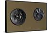 Gallo-Roman Silver Coins Depicting Horse and Wild Boar, Roman Coins Ad-null-Framed Stretched Canvas