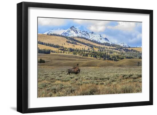Photographic Print, , large