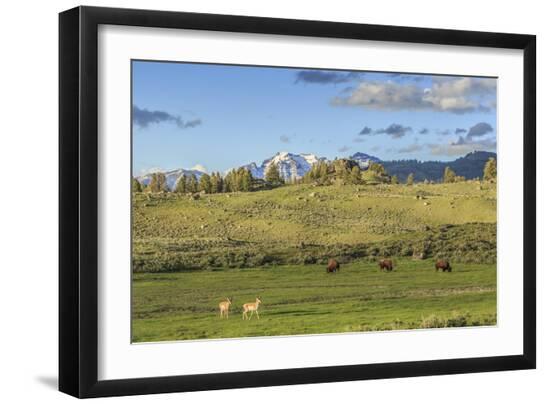 Premium Photographic Print, , large