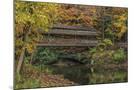 Wood Mount