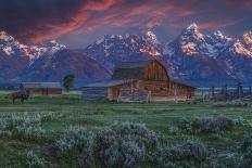 Mormon Row Barn Sunrise-Galloimages Online-Photographic Print