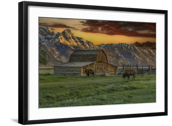 Premium Photographic Print, , large