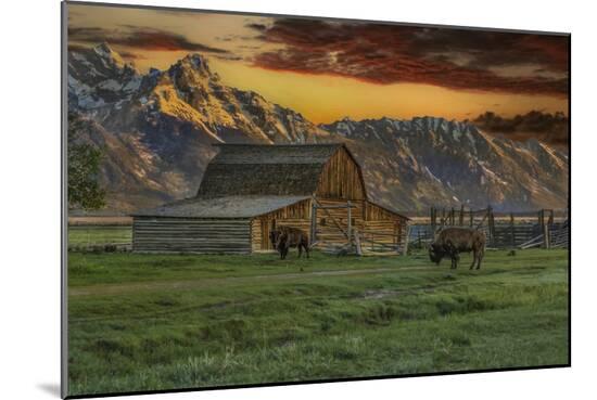 Photographic Print, , large