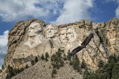 Mount Rushmore and Eagle-Galloimages Online-Photographic Print