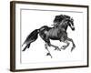 Gallop, 2015-Mark Adlington-Framed Giclee Print