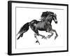 Gallop, 2015-Mark Adlington-Framed Giclee Print