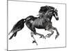 Gallop, 2015-Mark Adlington-Mounted Giclee Print