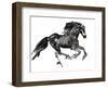 Gallop, 2015-Mark Adlington-Framed Giclee Print