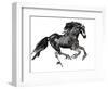 Gallop, 2015-Mark Adlington-Framed Giclee Print