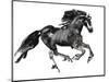 Gallop, 2015-Mark Adlington-Mounted Giclee Print