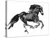 Gallop, 2015-Mark Adlington-Stretched Canvas