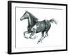 Gallop Black-Deborah Pearce-Framed Giclee Print