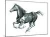 Gallop Black-Deborah Pearce-Mounted Giclee Print