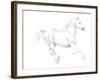 Gallop White-Deborah Pearce-Framed Giclee Print