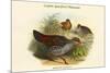 Galloperdix Zeylonensis - Ceylon Spurfowl Pheasant-John Gould-Mounted Premium Giclee Print