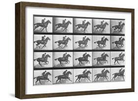 Galloping Horse, Plate 628 from Animal Locomotion, 1887-Eadweard Muybridge-Framed Giclee Print