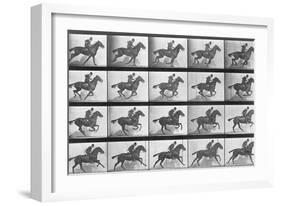 Galloping Horse, Plate 628 from Animal Locomotion, 1887-Eadweard Muybridge-Framed Giclee Print