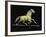 Galloping Horse Weathervane, Circa 1890-John Bachman-Framed Giclee Print