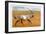 Galloping Oryx, 2010-Mark Adlington-Framed Giclee Print