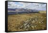 Galloway Hills from Rhinns of Kells, Dumfries and Galloway, Scotland, United Kingdom, Europe-Gary Cook-Framed Stretched Canvas