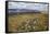 Galloway Hills from Rhinns of Kells, Dumfries and Galloway, Scotland, United Kingdom, Europe-Gary Cook-Framed Stretched Canvas