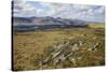 Galloway Hills from Rhinns of Kells, Dumfries and Galloway, Scotland, United Kingdom, Europe-Gary Cook-Stretched Canvas