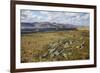 Galloway Hills from Rhinns of Kells, Dumfries and Galloway, Scotland, United Kingdom, Europe-Gary Cook-Framed Photographic Print