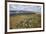 Galloway Hills from Rhinns of Kells, Dumfries and Galloway, Scotland, United Kingdom, Europe-Gary Cook-Framed Photographic Print