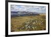 Galloway Hills from Rhinns of Kells, Dumfries and Galloway, Scotland, United Kingdom, Europe-Gary Cook-Framed Photographic Print