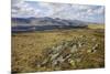 Galloway Hills from Rhinns of Kells, Dumfries and Galloway, Scotland, United Kingdom, Europe-Gary Cook-Mounted Photographic Print
