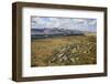 Galloway Hills from Rhinns of Kells, Dumfries and Galloway, Scotland, United Kingdom, Europe-Gary Cook-Framed Photographic Print