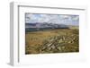 Galloway Hills from Rhinns of Kells, Dumfries and Galloway, Scotland, United Kingdom, Europe-Gary Cook-Framed Photographic Print