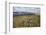 Galloway Hills from Rhinns of Kells, Dumfries and Galloway, Scotland, United Kingdom, Europe-Gary Cook-Framed Photographic Print