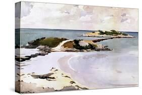 Gallows Island-Winslow Homer-Stretched Canvas