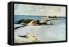 Gallows Island-Winslow Homer-Framed Stretched Canvas