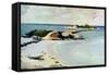 Gallows Island-Winslow Homer-Framed Stretched Canvas