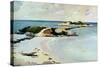 Gallows Island-Winslow Homer-Stretched Canvas