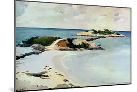 Gallows Island-Winslow Homer-Mounted Giclee Print