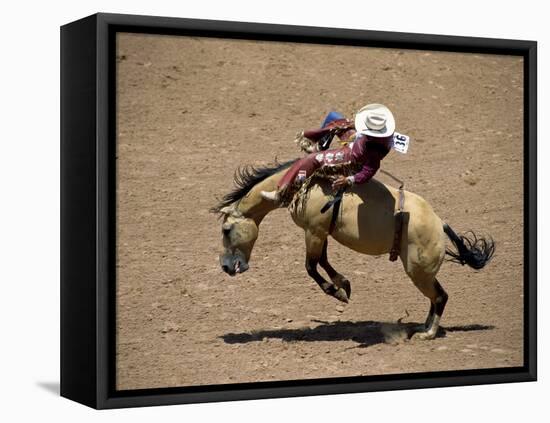 Gallup, New Mexico, USA-null-Framed Stretched Canvas