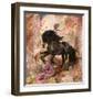 Gallup-Marta Wiley-Framed Art Print