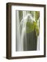 Galovac Buk Waterfalls, Upper Lakes, Plitvice Lakes National Park, Croatia, October 2008-Biancarelli-Framed Photographic Print