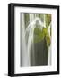 Galovac Buk Waterfalls, Upper Lakes, Plitvice Lakes National Park, Croatia, October 2008-Biancarelli-Framed Photographic Print